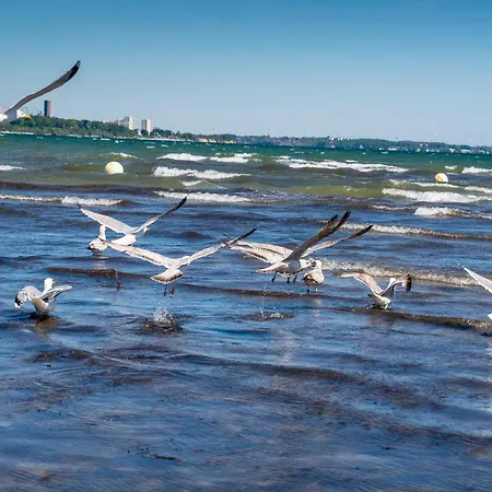 K357 - - Moin Moin - Poenitz - Scharbeutz Ratekau