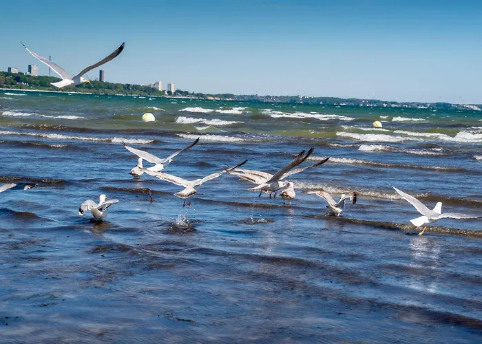 K357 - - Moin Moin - Poenitz - Scharbeutz 라테카우