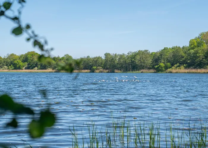 K357 - - Moin Moin - Poenitz - Scharbeutz 라테카우